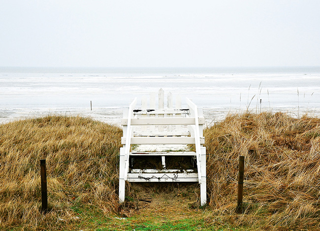 充满生机的在线轰炸电话软件版