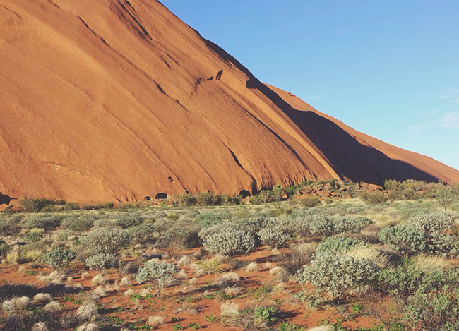 免费使用不要钱的云呼电话